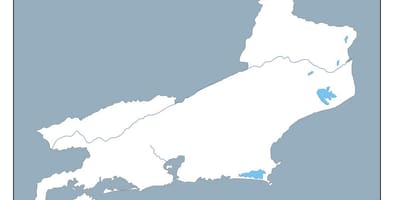 Карта Ріо-де-Жанейро вектор